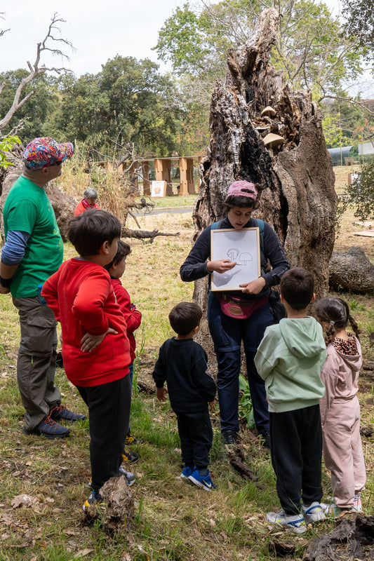Bio Esplorazioni: oltre 100 famiglie in cammino tra gli alberi di Cartaland